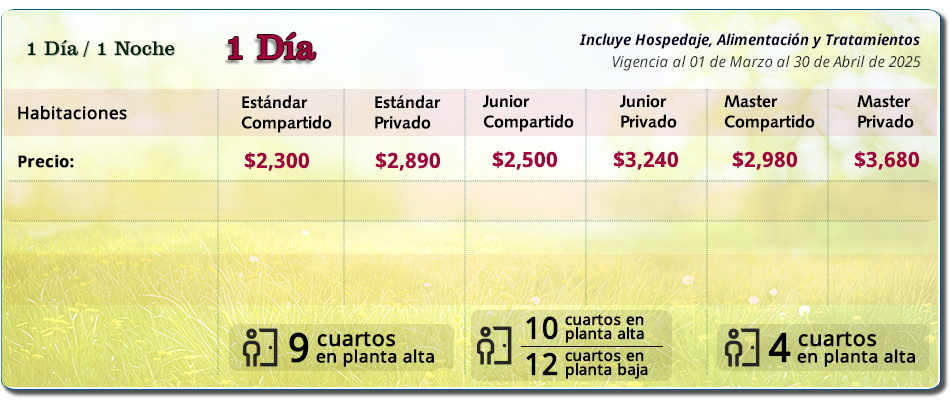 Paquete Spa 1 Día