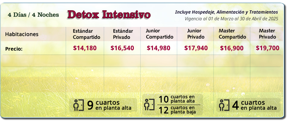 Paquete Spa 4 Días Detox Intensivo