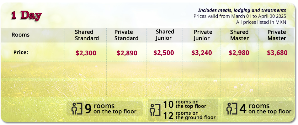 One Day Spa Package