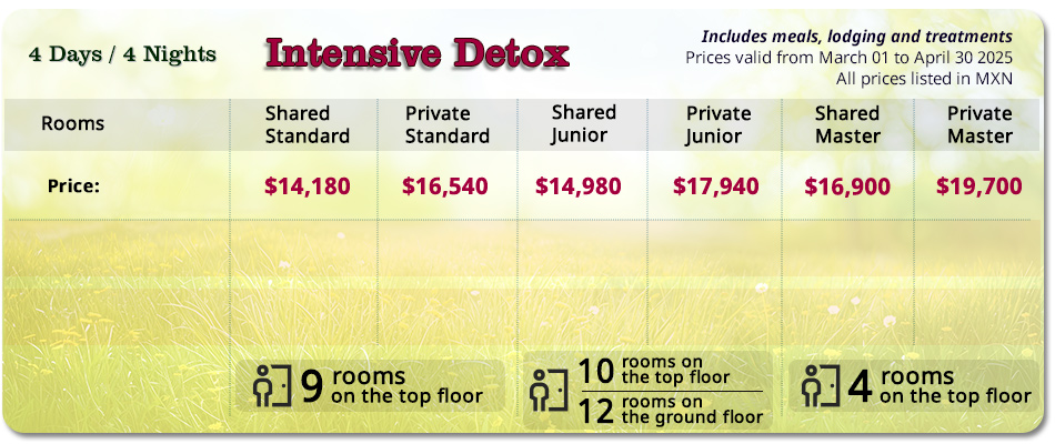 4 Days Intensive Detox Spa Package
