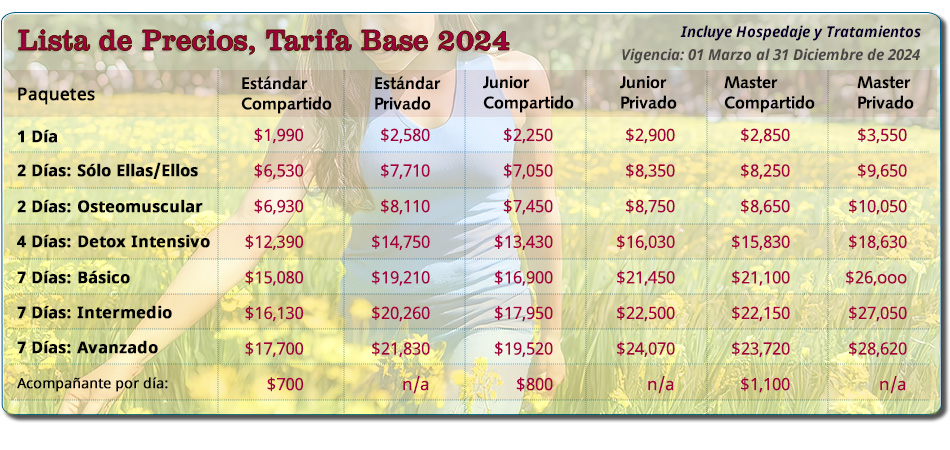 Precios de la Tarifa Base 2023